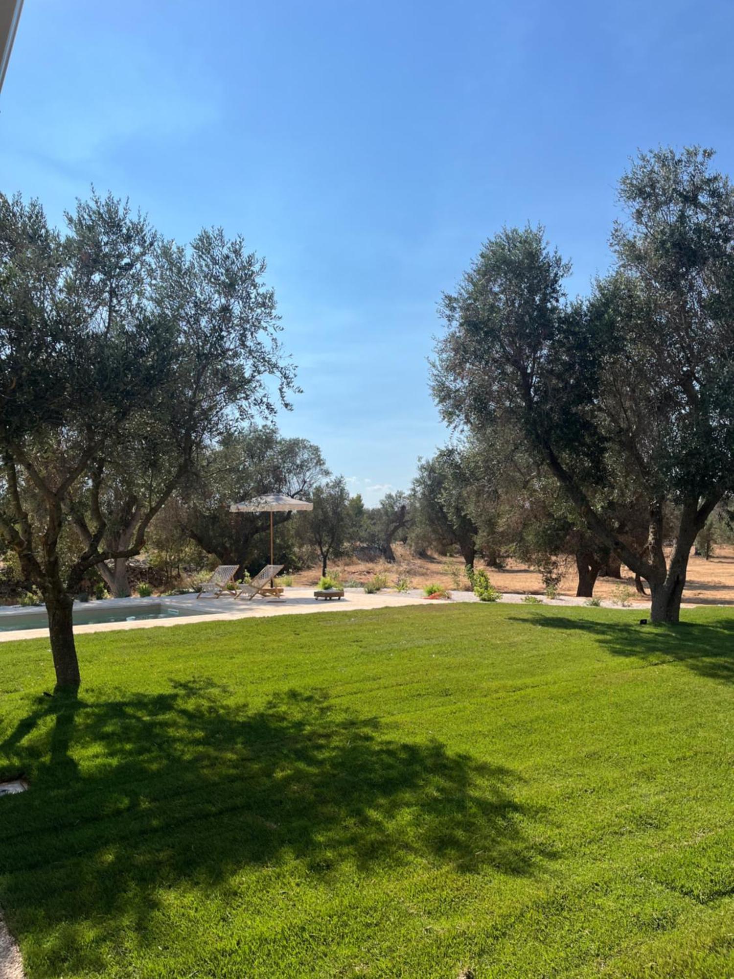 Trullo Gritti All'Antico Uliveto سان ميكيلي سالنتينو المظهر الخارجي الصورة