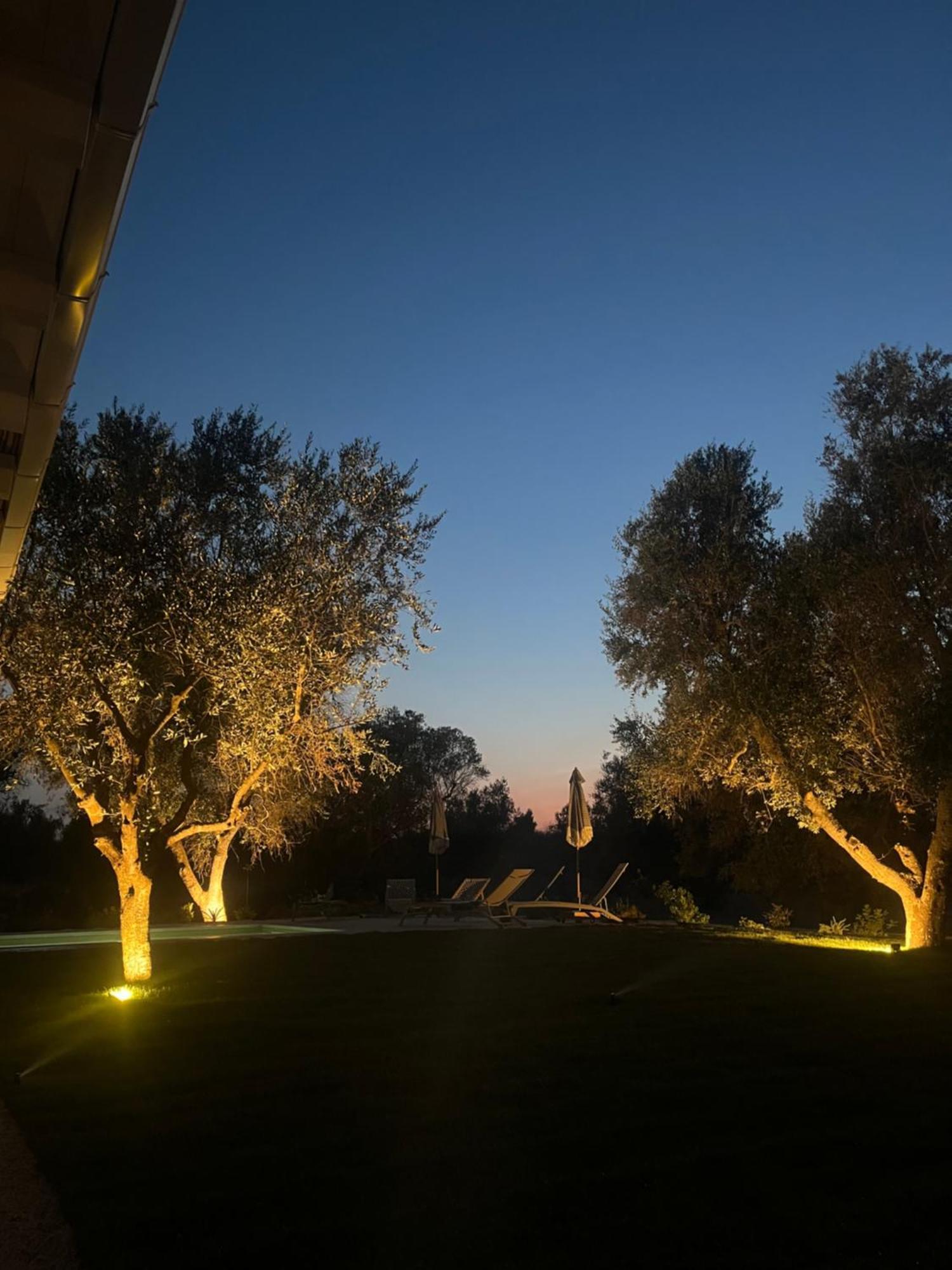 Trullo Gritti All'Antico Uliveto سان ميكيلي سالنتينو المظهر الخارجي الصورة