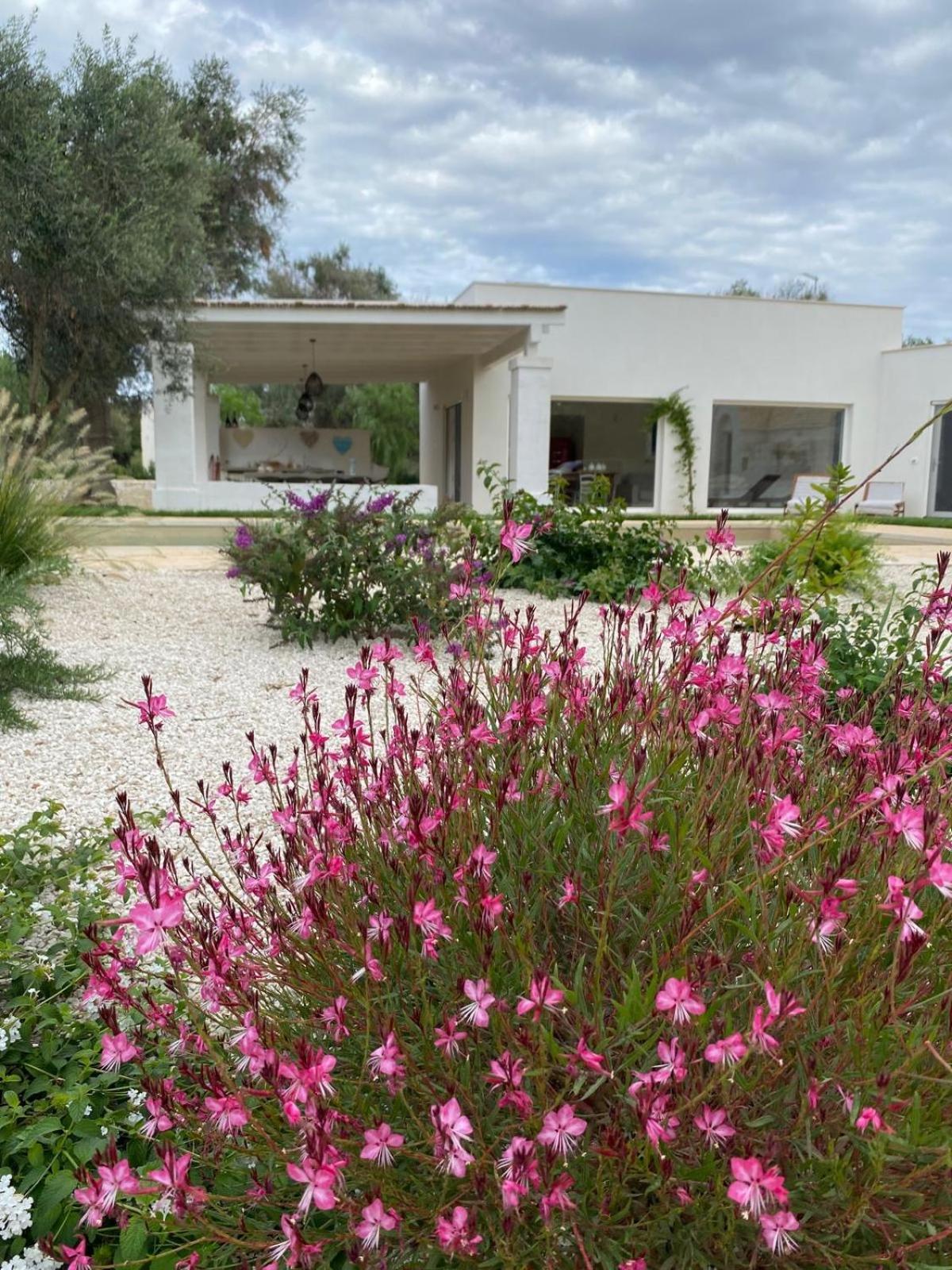 Trullo Gritti All'Antico Uliveto سان ميكيلي سالنتينو المظهر الخارجي الصورة