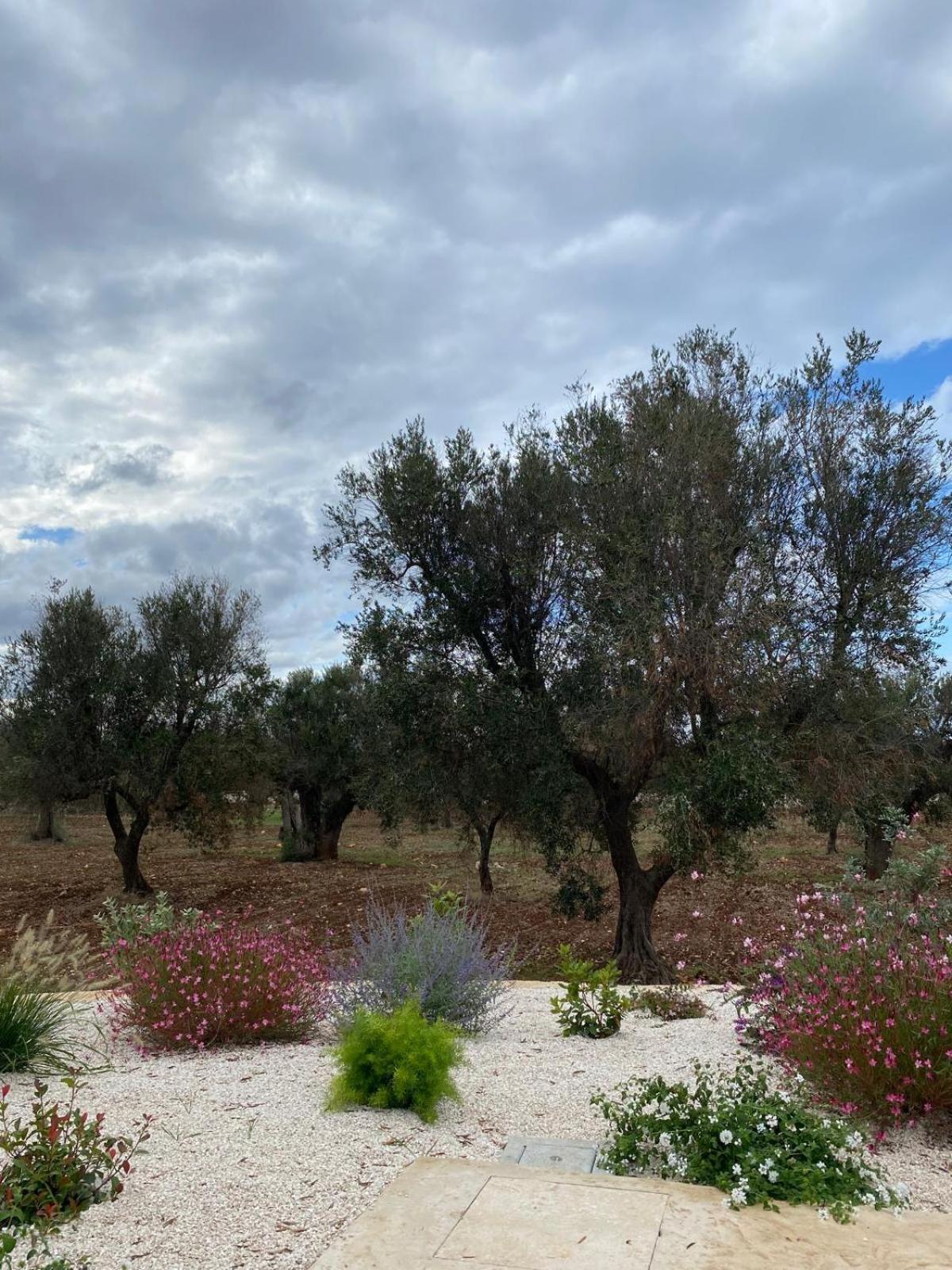 Trullo Gritti All'Antico Uliveto سان ميكيلي سالنتينو المظهر الخارجي الصورة