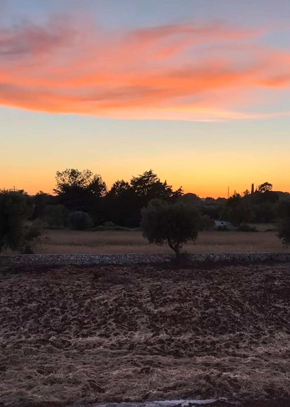 Trullo Gritti All'Antico Uliveto سان ميكيلي سالنتينو المظهر الخارجي الصورة