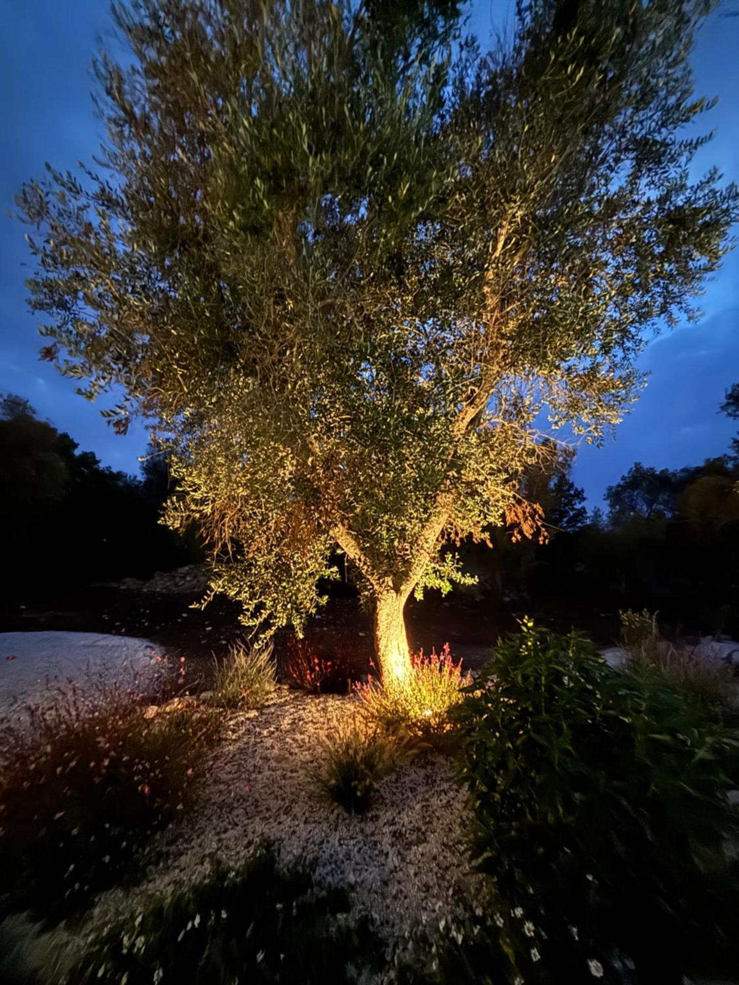 Trullo Gritti All'Antico Uliveto سان ميكيلي سالنتينو المظهر الخارجي الصورة