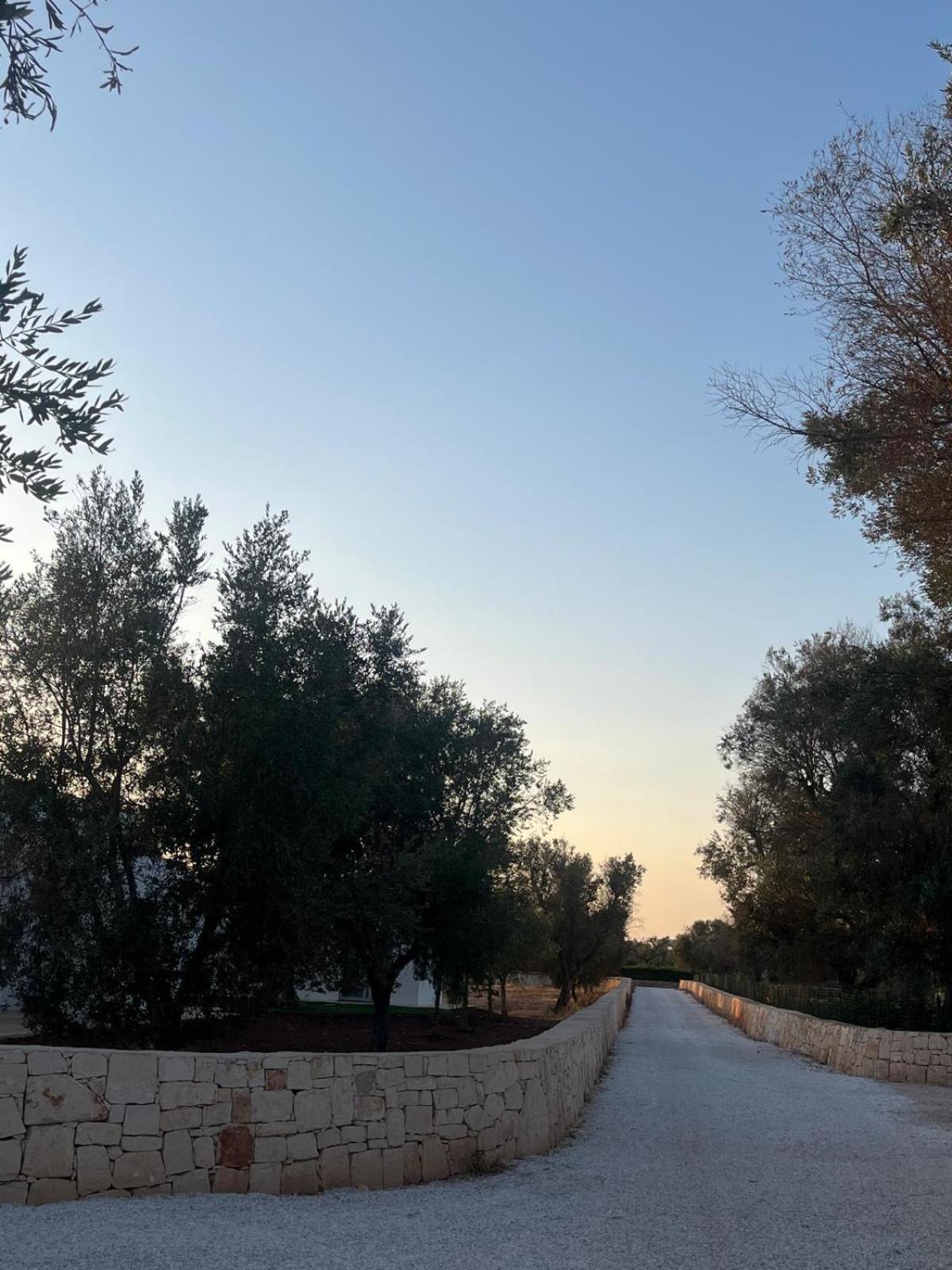 Trullo Gritti All'Antico Uliveto سان ميكيلي سالنتينو المظهر الخارجي الصورة