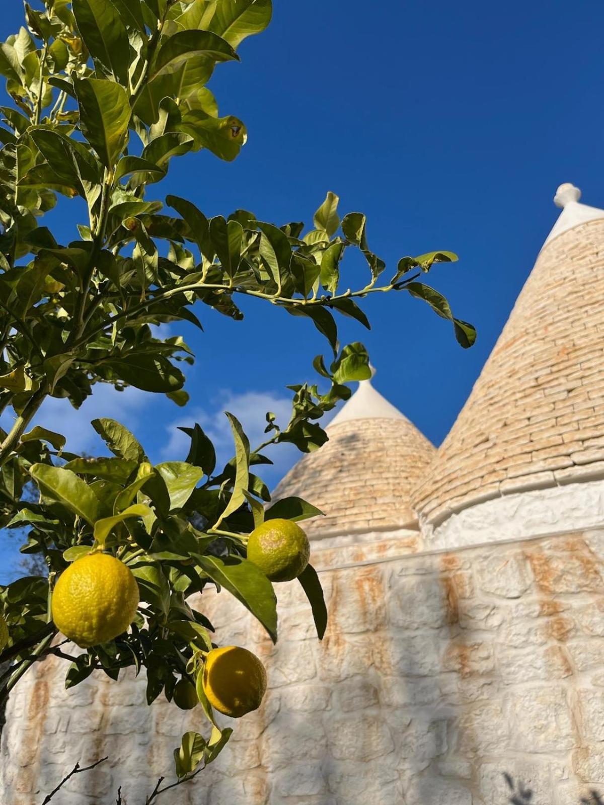 Trullo Gritti All'Antico Uliveto سان ميكيلي سالنتينو المظهر الخارجي الصورة